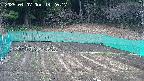 kannonmori-20250407142018.jpg