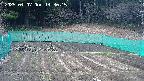 kannonmori-20250407143016.jpg