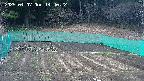 kannonmori-20250407144023.jpg