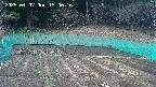 kannonmori-20250407150017.jpg