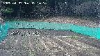 kannonmori-20250407151017.jpg