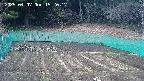 kannonmori-20250407152018.jpg