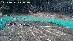 kannonmori-20250407153018.jpg