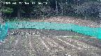 kannonmori-20250407154019.jpg