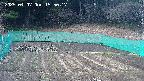 kannonmori-20250407155018.jpg