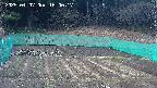 kannonmori-20250407160018.jpg