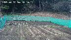 kannonmori-20250407161018.jpg