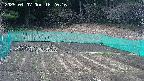 kannonmori-20250407162017.jpg