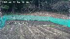 kannonmori-20250407163018.jpg
