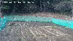 kannonmori-20250407164017.jpg