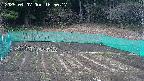 kannonmori-20250407165018.jpg