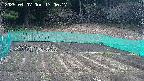 kannonmori-20250407170018.jpg