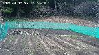 kannonmori-20250407171019.jpg