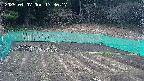 kannonmori-20250407173018.jpg