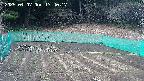 kannonmori-20250407174018.jpg