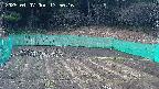 kannonmori-20250407175018.jpg