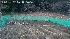 kannonmori-20250407180018.jpg