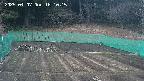 kannonmori-20250407181017.jpg