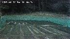 kannonmori-20250407183017.jpg