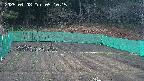 kannonmori-20250408051017.jpg