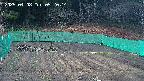kannonmori-20250408052016.jpg