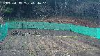kannonmori-20250408053015.jpg