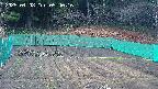 kannonmori-20250408054018.jpg