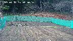 kannonmori-20250408055018.jpg