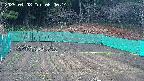 kannonmori-20250408060016.jpg