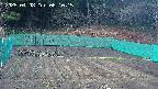 kannonmori-20250408061017.jpg