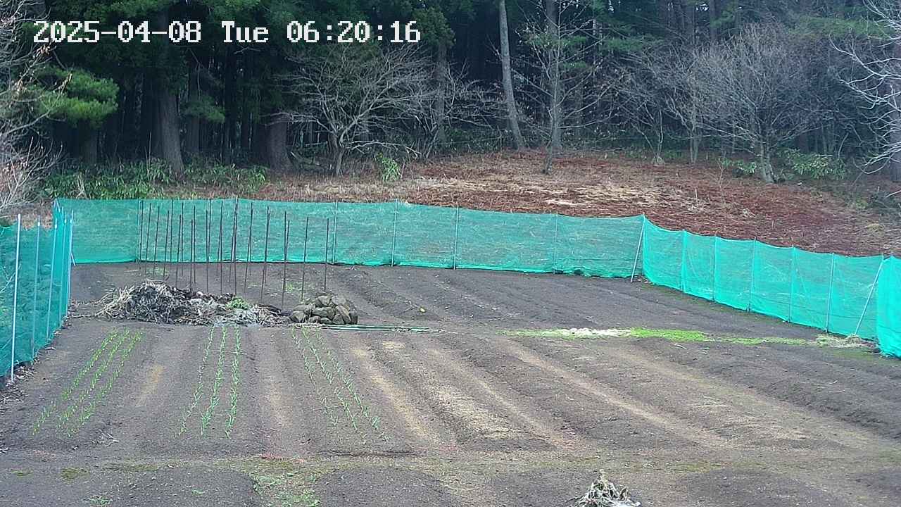kannonmori-20250408062018.jpg
