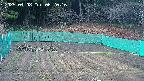kannonmori-20250408062018.jpg