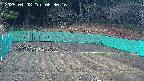 kannonmori-20250408063018.jpg