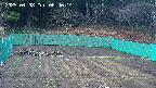 kannonmori-20250408064016.jpg