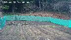 kannonmori-20250408065018.jpg