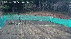 kannonmori-20250408070019.jpg