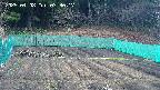 kannonmori-20250408073018.jpg