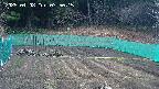 kannonmori-20250408075017.jpg