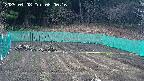 kannonmori-20250408080018.jpg