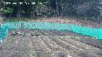 kannonmori-20250408081018.jpg