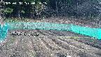kannonmori-20250408082017.jpg