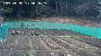 kannonmori-20250408084017.jpg