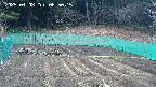 kannonmori-20250408085017.jpg