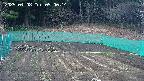 kannonmori-20250408090016.jpg