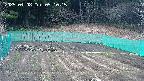 kannonmori-20250408091016.jpg