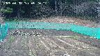 kannonmori-20250408092015.jpg