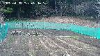 kannonmori-20250408094018.jpg