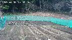 kannonmori-20250408102015.jpg