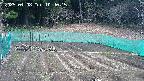 kannonmori-20250408104017.jpg