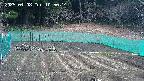 kannonmori-20250408105016.jpg
